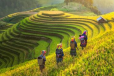 Hanoi full day city tour