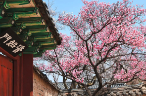 HÀ NỘI - SEOUL - NAMI - EVERLAND - CÔNG VIÊN YEOUIDO - RỪNG SEOUL