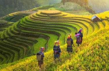 Hanoi full day city tour
