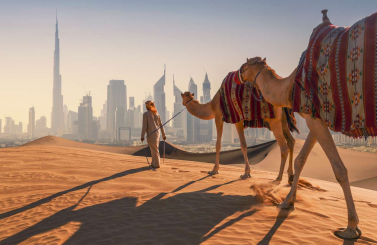 DUBAI – SHARJAH -  SA MẠC SAFARI GLOBAL VILLAGE – VƯỜN HOA MIRACLE - ABU DHABI