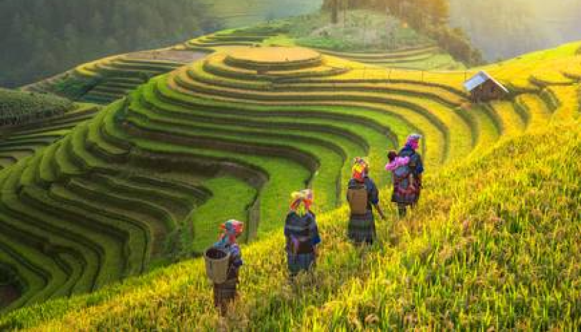 Hanoi full day city tour