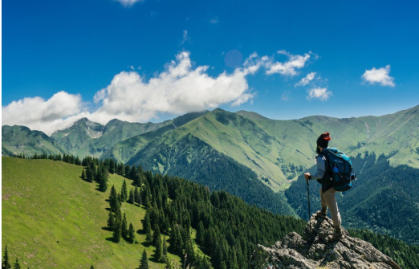 Dã quỳ phủ vàng sườn đồi ngoại thành Đà Lạt