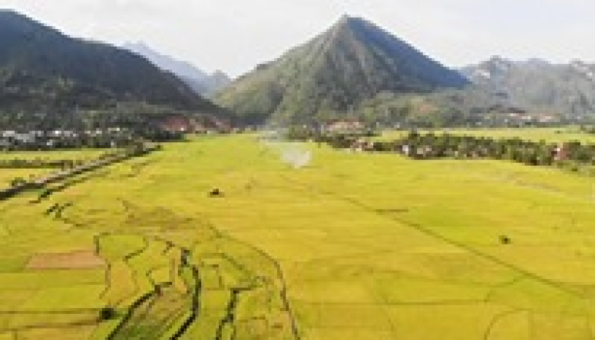 MÙ CANG CHẢI – HỒ THÁC BÀ MÙA LÚA CHÍN